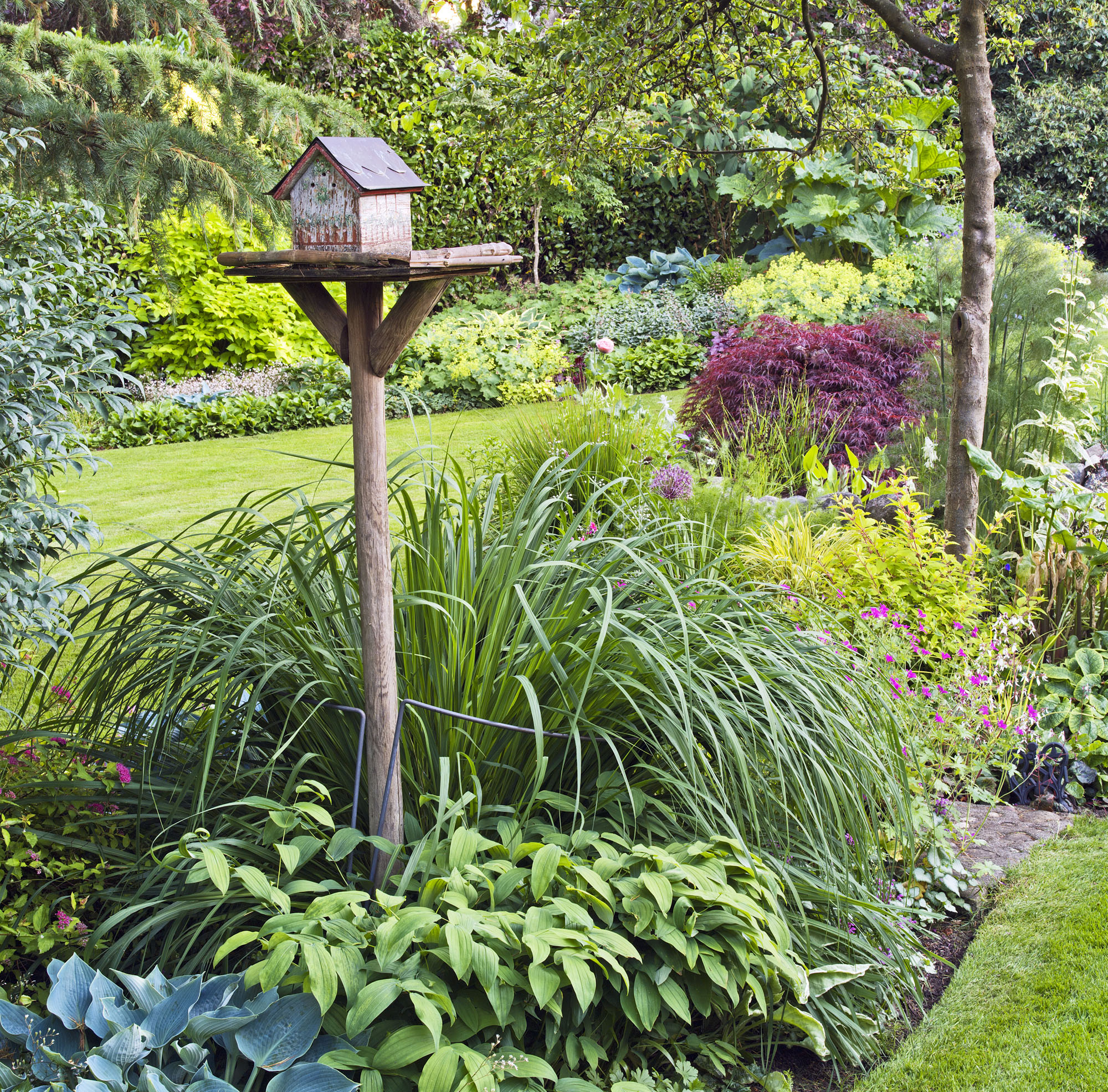 Its possible for backyard gardens to be both beautiful and functional like - photo 17