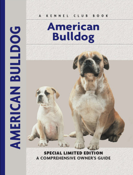 Abe Fishman - American Bulldog