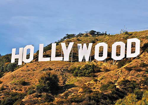 Hollywood sign surfboards for sale - photo 4