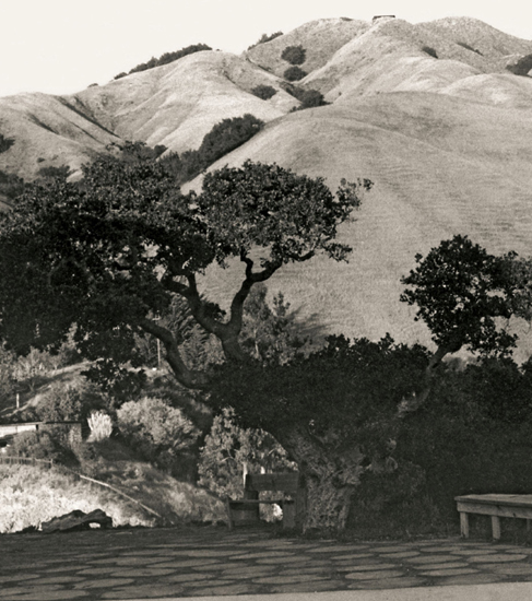 The magnificent Santa Lucia Mountains as seen from the terrace of Nepenthe The - photo 11