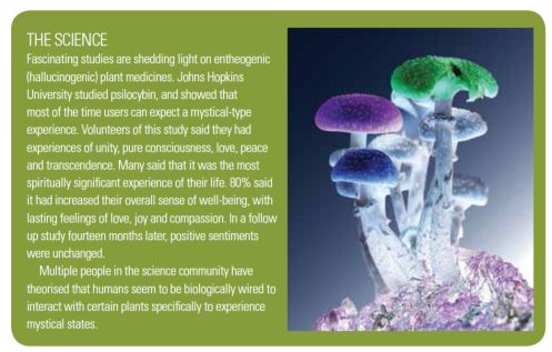 CHAPTER ONE WHAT IS PSILOCYBIN MUSHROOMS M ycology the investigation of - photo 2