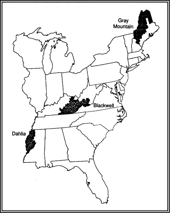 CYNTHIA M DUNCAN WORLDS APART Poverty and Politics in Rural America Second - photo 1