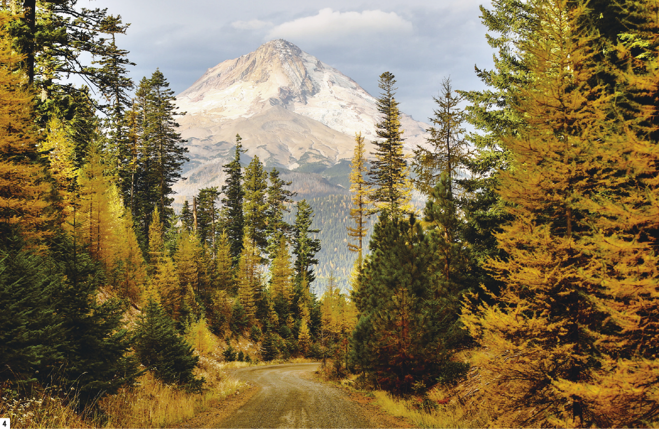 t The spectacular Mount Hood rising behind the trees in Oregon Home to a - photo 6