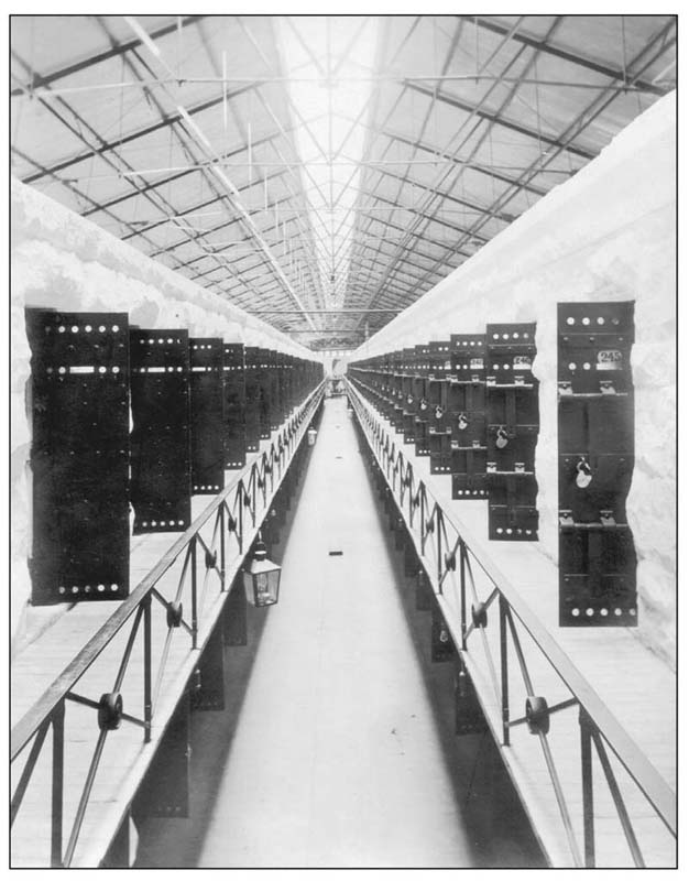 The first two cell blocks consisting of 328 cells were built on a bluff - photo 9