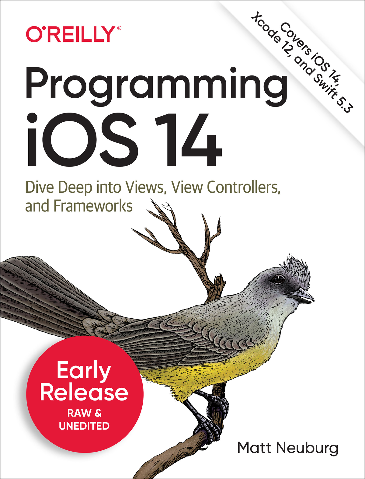 Programming iOS 14 Eleventh Edition by Matt Neuburg Copyright 2021 Matt - photo 1