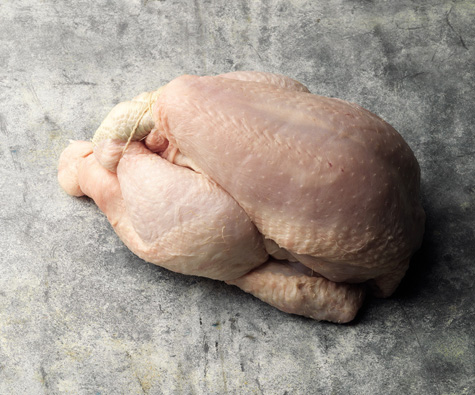 Chicken Poussin Chicken is the most common and most popular poultry - photo 7