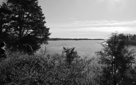 Outlook on Tautog Cove from Fort Ninigret site Photo by author The men in - photo 2