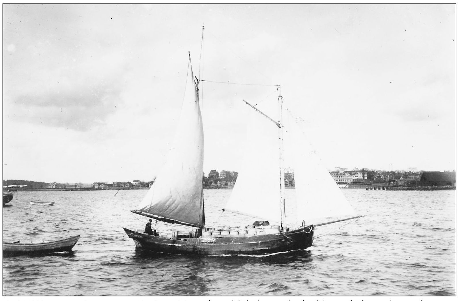 A GOOD WEATHERLY SEA BOAT the old-fashioned double-ended pinky schooner - photo 6