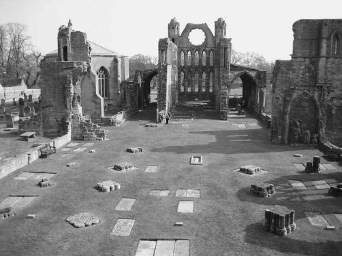 Elgin Cathedral 2011 University of South Carolina Cloth edition published by - photo 1