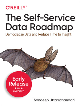 Sandeep Uttamchandani - The Self-Service Data Roadmap