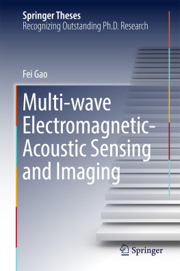 Gao - Multi-wave Electromagnetic-Acoustic Sensing and Imaging