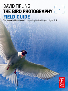 Gallagher Tara The bird photography field guide: the essential handbook for capturing birds with your digital SLR