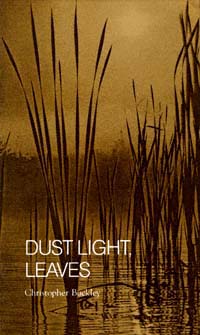 title Dust Light Leaves author Buckley Christopher publisher - photo 1