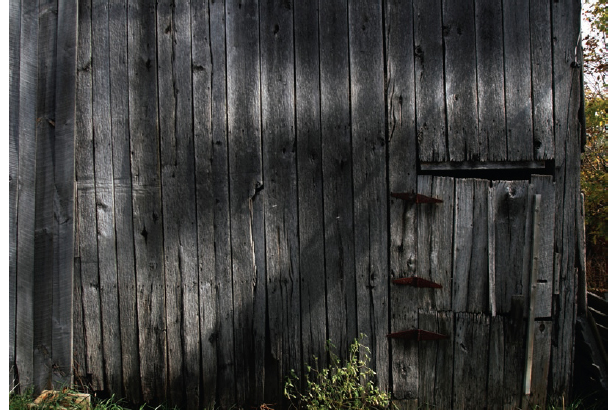 IMAGE I-3 Light from an oblique angle will define texture This old barn in - photo 10