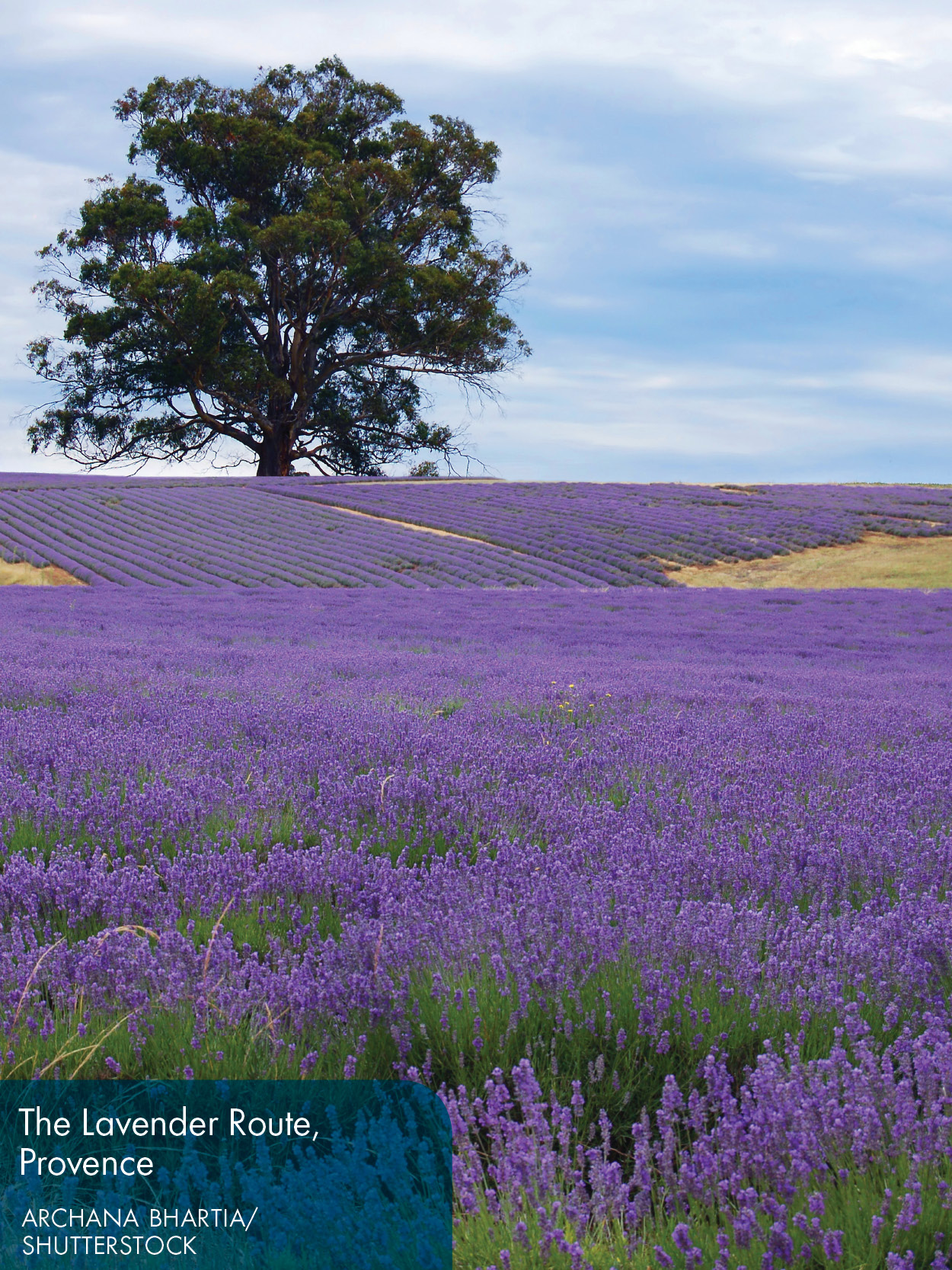 Fodors Provence the French Riviera - photo 3