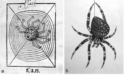 Figure 11 a In medieval times spiders were depicted rather crudely and - photo 5