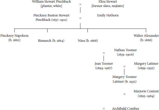 The Toomer Genealogy The African American Dickson Genealogy Introduction - photo 4