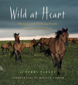 Farley - Wild at heart: mustangs and the young people fighting to save them