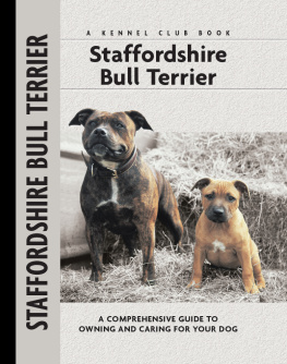 Frome Staffordshire Bull Terrier