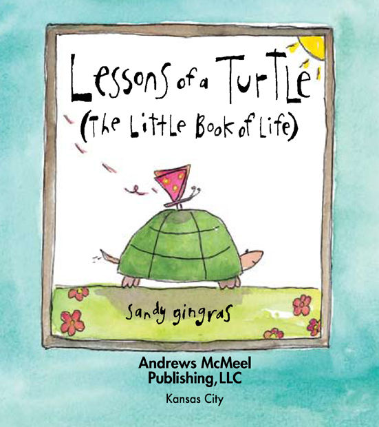 Lessons of a Turtle copyright 2009 by Sandy Gingras All rights reserved - photo 3