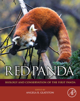 Glatston Red Panda