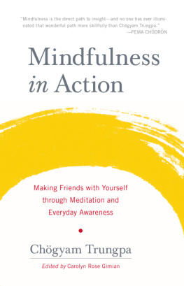 Gimian Carolyn Rose - Mindfulness in action: making friends with yourself through meditation and everyday awareness