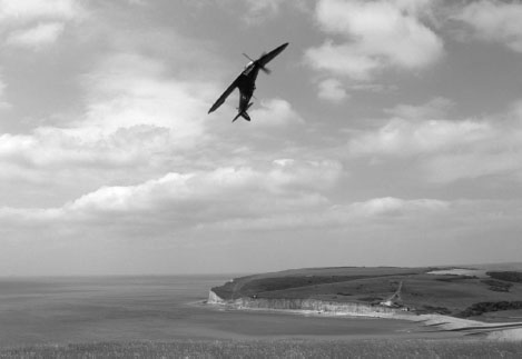 The fastest falcon of all the peregrine can reach a speed of up to around 200 - photo 5