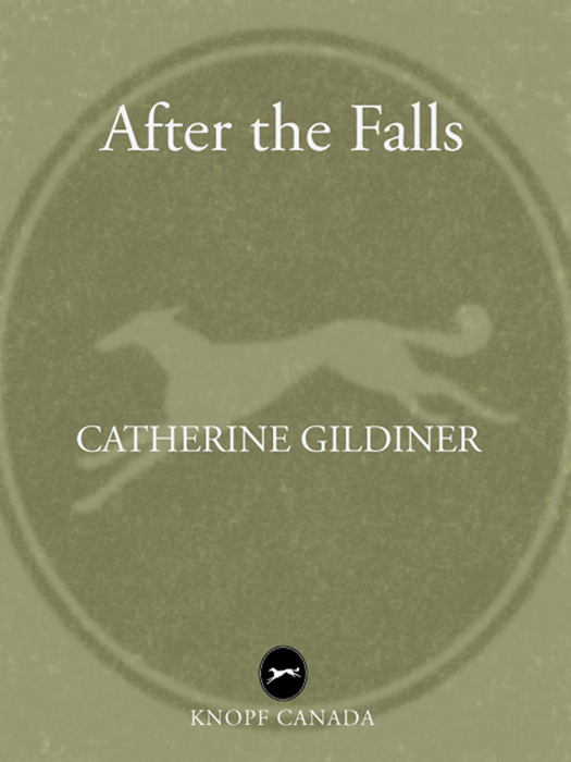 ALSO BY CATHERINE GILDINER Too Close to the Falls Seduction To the - photo 1