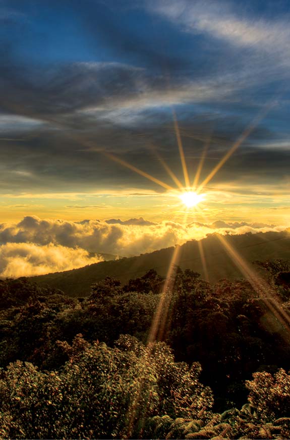 A spectacular view from Cerro Amigos in Monteverde Turtles digging their - photo 12