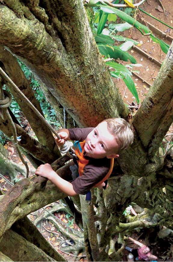 Climbing trees at Bosque del Cabo Enjoying a massage at Lapa Rios - photo 17