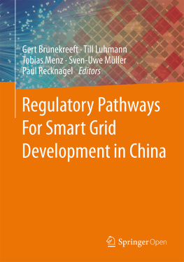 Gert Brunekreeft Till Luhmann Tobias Menz Sven-Uwe - Regulatory Pathways For Smart Grid Development in China