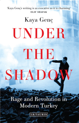 Genç Under the shadow: rage and revolution in modern Turkey