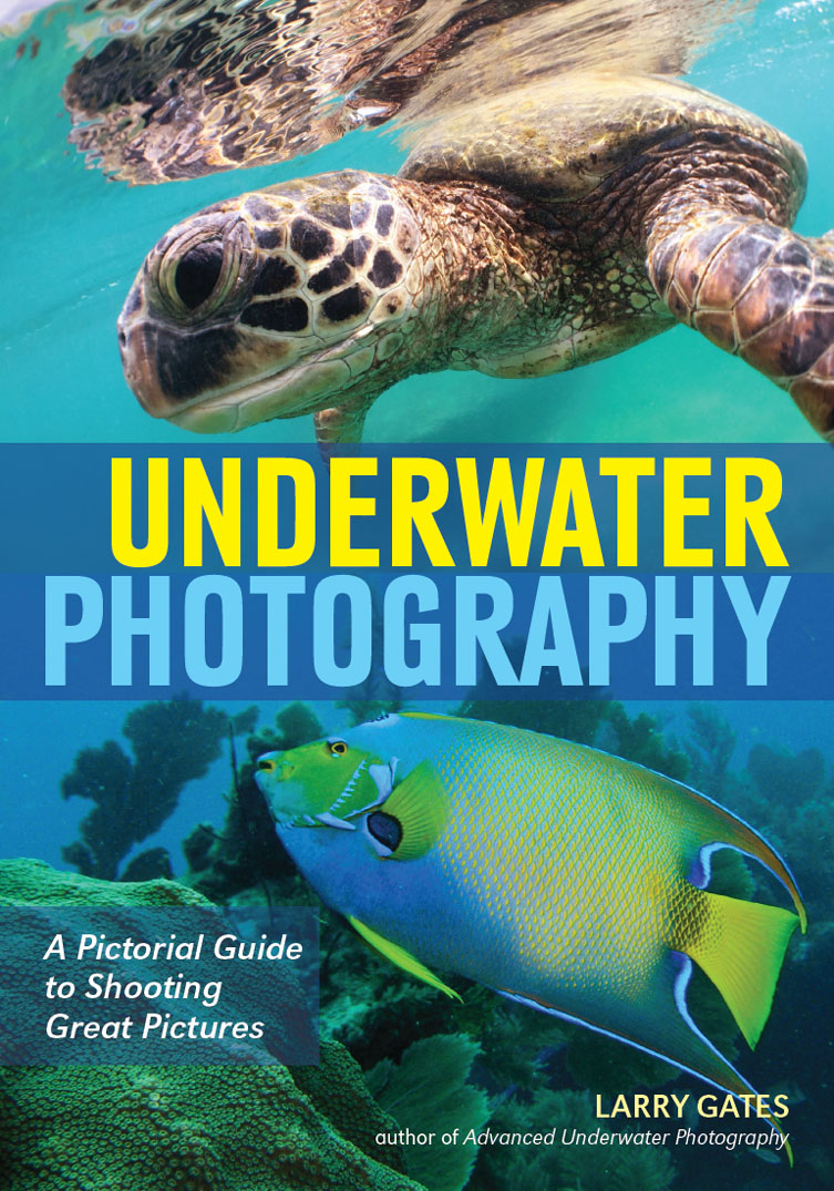 ABOUT THE AUTHOR I began my underwater photography adventure in 1992 I worked - photo 1