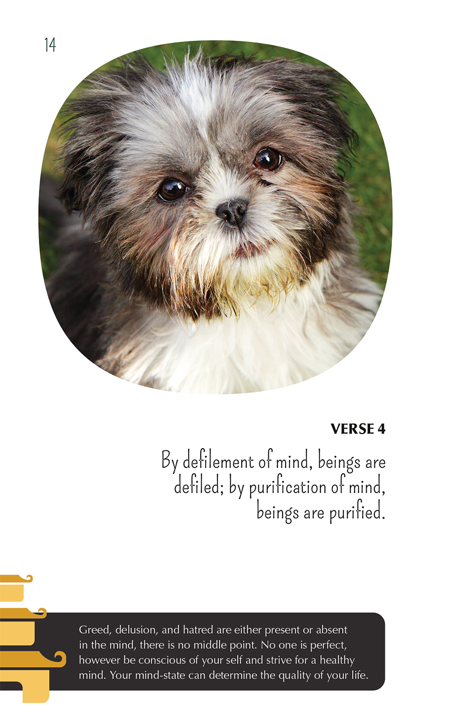 Zen puppies meditations for the wise minds of puppy lovers - photo 14