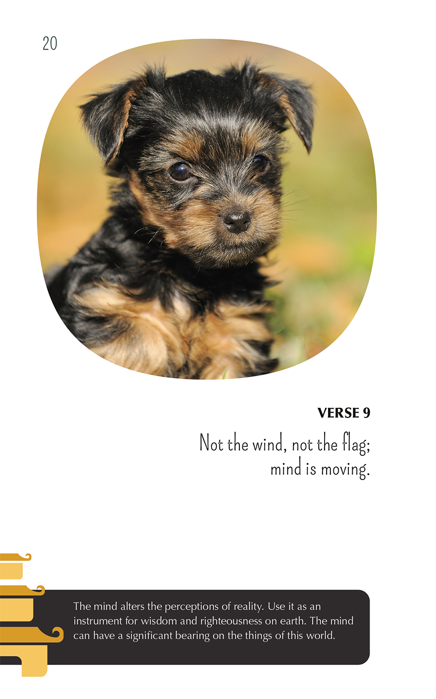 Zen puppies meditations for the wise minds of puppy lovers - photo 20