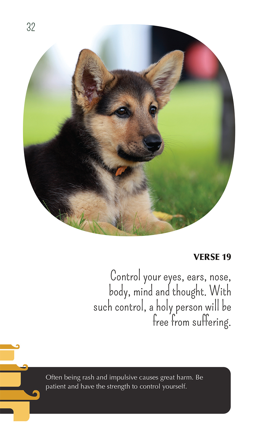 Zen puppies meditations for the wise minds of puppy lovers - photo 32