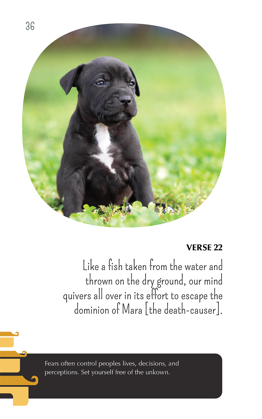 Zen puppies meditations for the wise minds of puppy lovers - photo 36