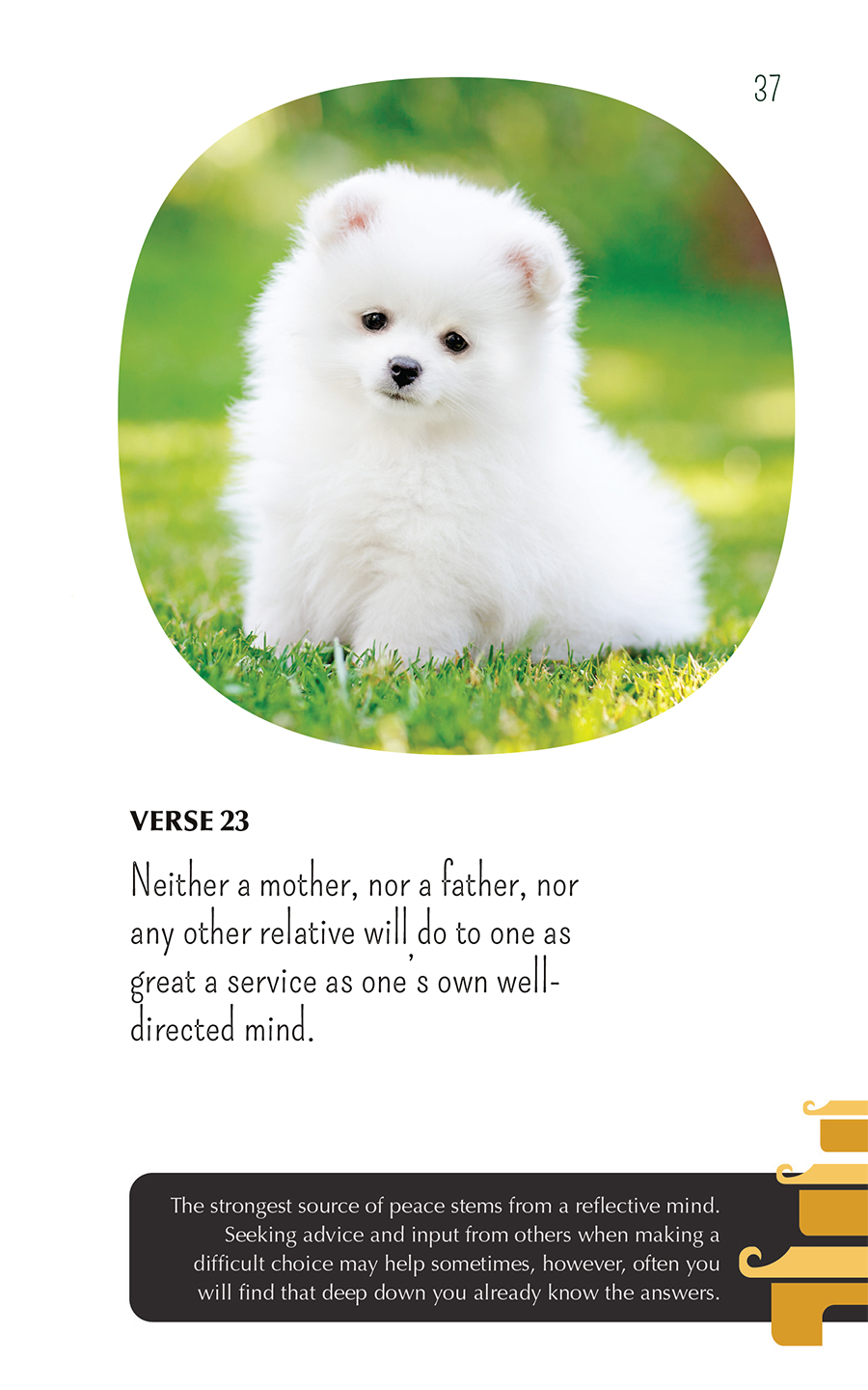 Zen puppies meditations for the wise minds of puppy lovers - photo 37