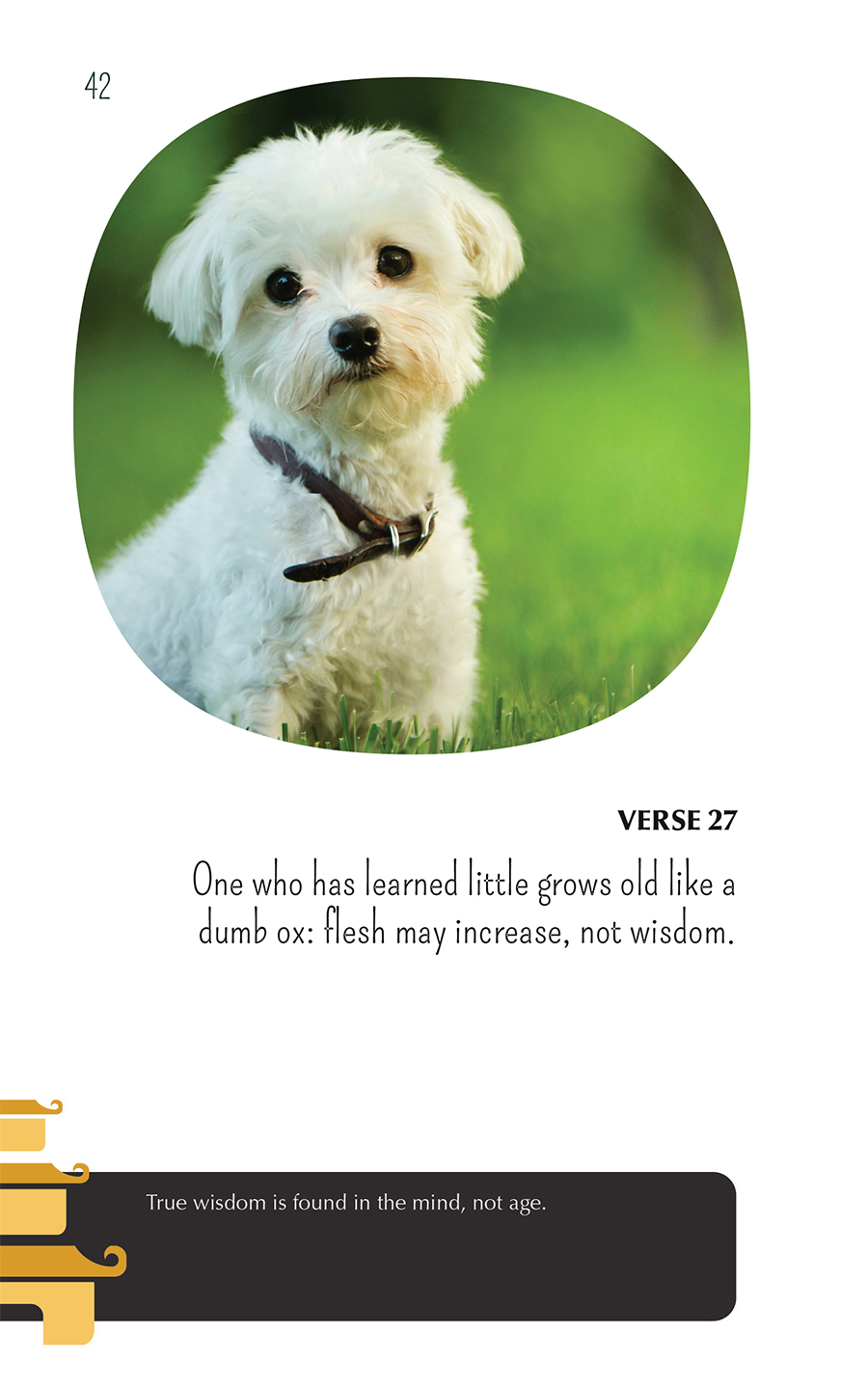 Zen puppies meditations for the wise minds of puppy lovers - photo 42