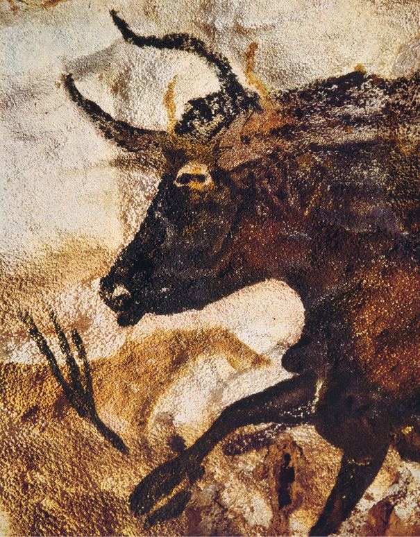 Bull Lascaux cave France c 15000 BCE When pictures are discussed they are - photo 7