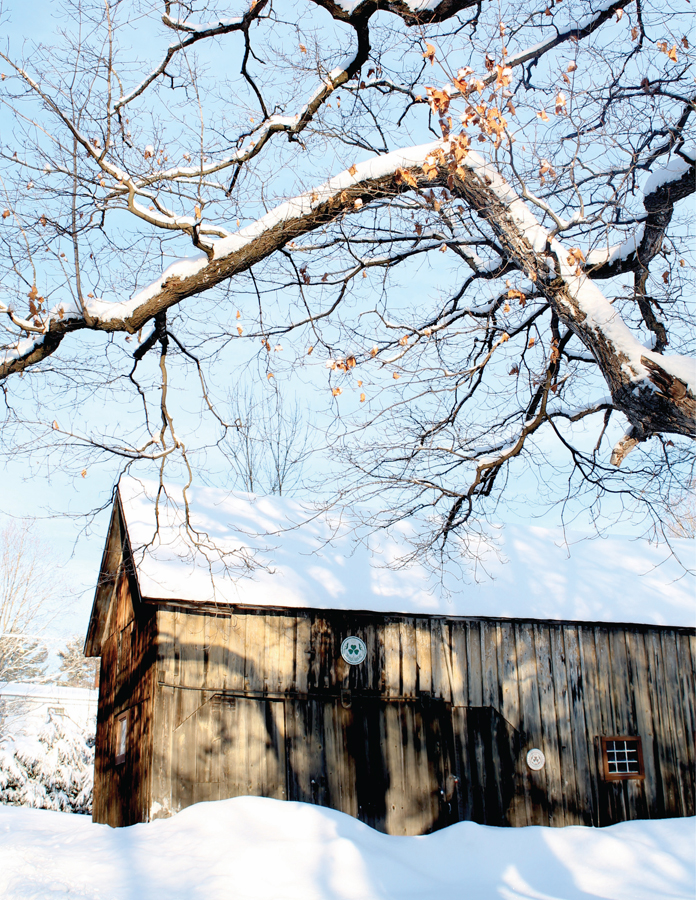 A house we like to believe can be a noble consort to man and the trees The - photo 4