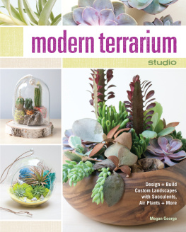 George - Modern terrarium studio: design + build custom landscapes with succulents, air plants + more