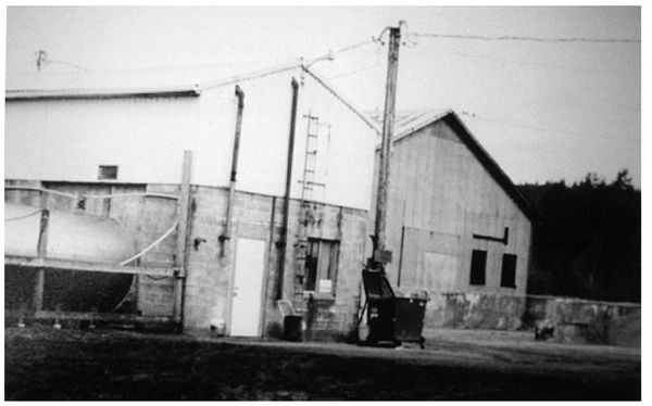 On March 17 1999 Frankie was alone in the milking parlor at Clarks Dairy - photo 10