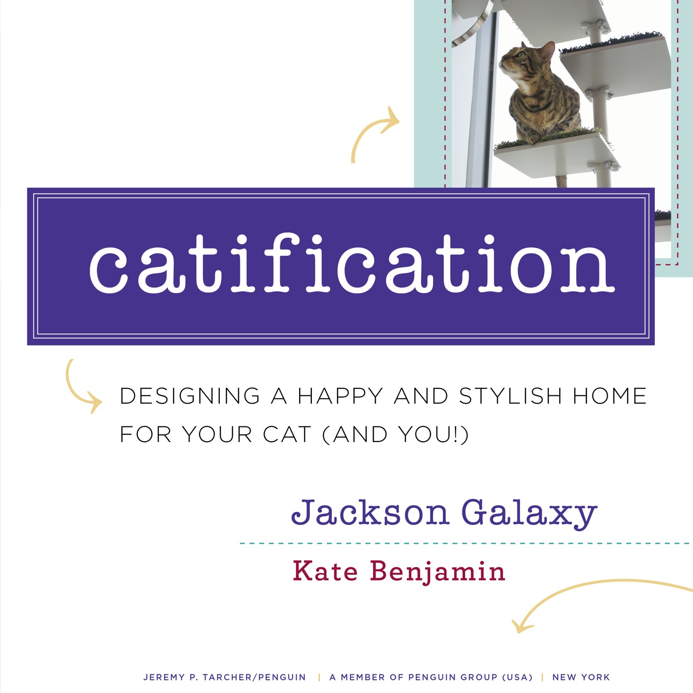 Catification - image 3