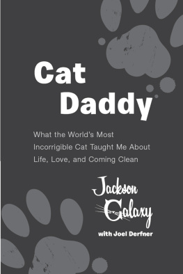 Galaxy Jackson - Cat daddy: what the worlds most incorrigible cat taught me about life, love, and coming clean