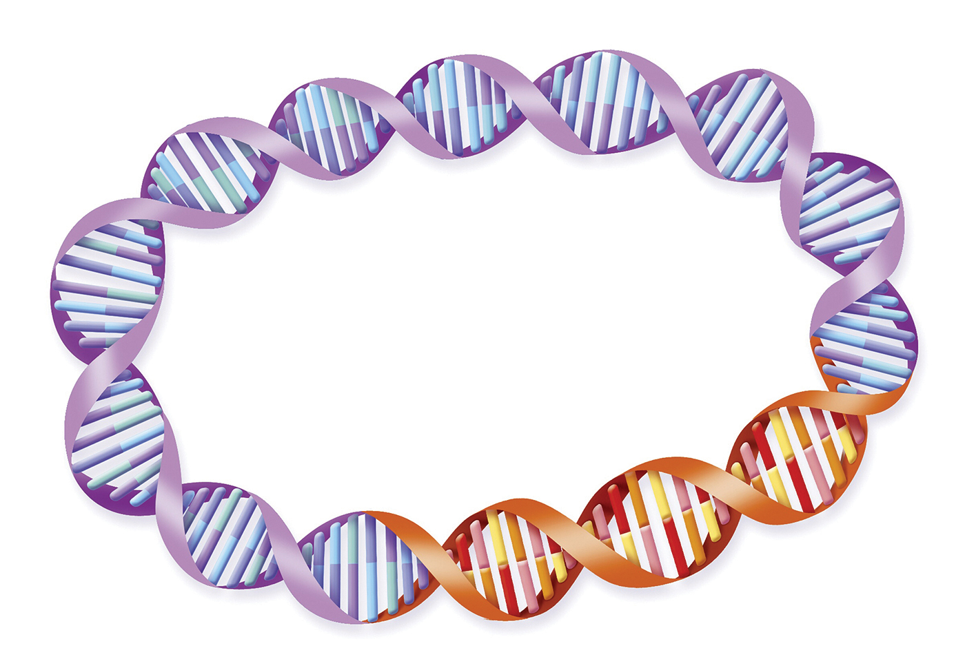 Illustration of recombinant DNA The orange gene is not part of the original - photo 4