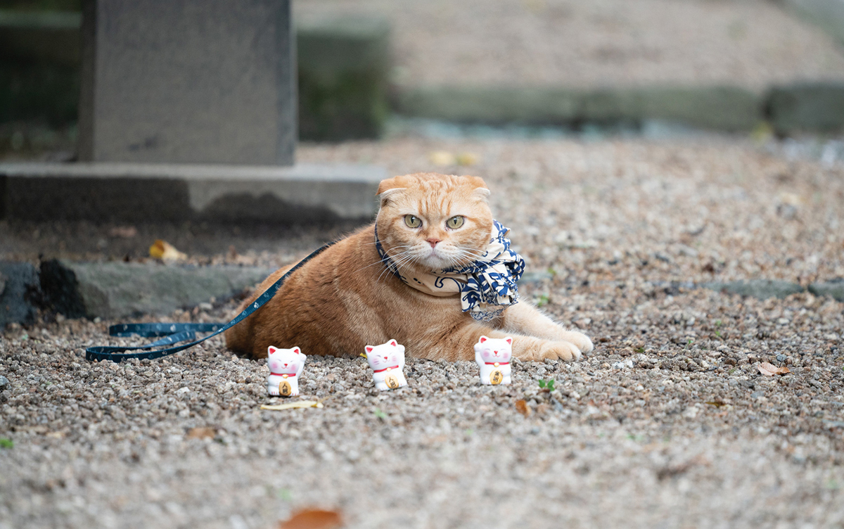 Keio Tama-Center Stationmaster Manabu Shimokawa and Hello Kitty during her - photo 15