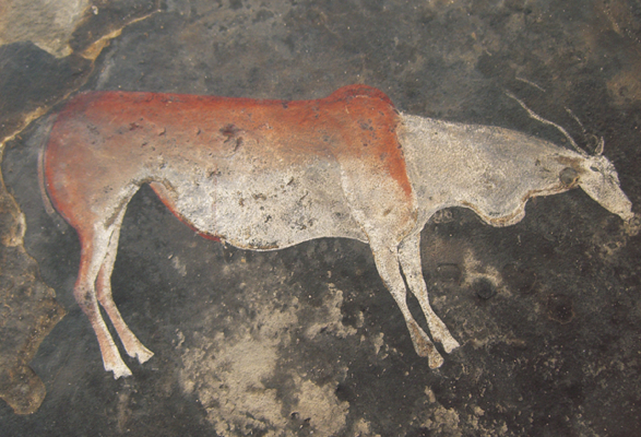 Pl 8 The eland was believed to have more supernatural potency than any other - photo 8