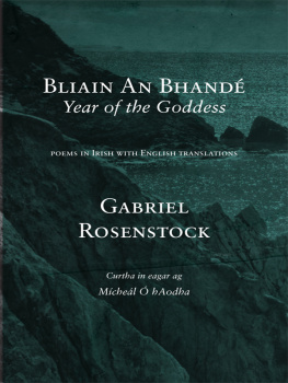 Gabriel Rosenstock - Bliain an Bhandé: Year of the Goddess