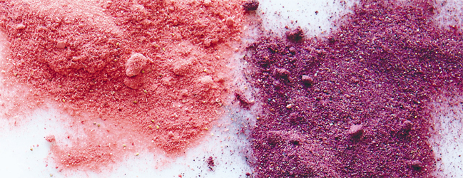 Berry powders Ive recently discovered blueberry and strawberry fruit powders - photo 11